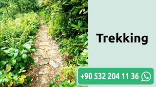 Trekking