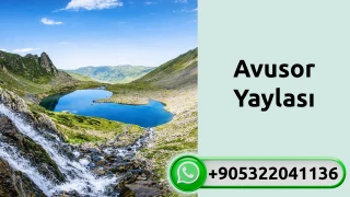 Avusor Yaylası