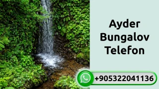Ayder bungalov telefon