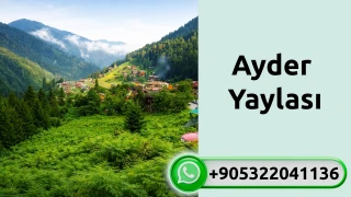 Ayder Yaylası