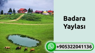 Badara yaylası