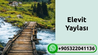 Elevit Yaylası