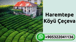 Haremtepe Köyü Çeçeva