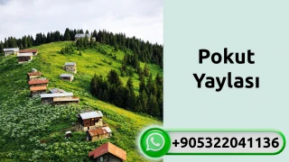Pokut Yaylası