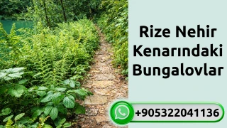 Rize nehir kenarındaki bungalovlar