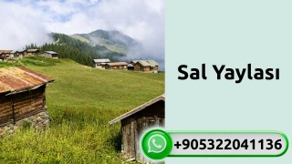 Sal Yaylası